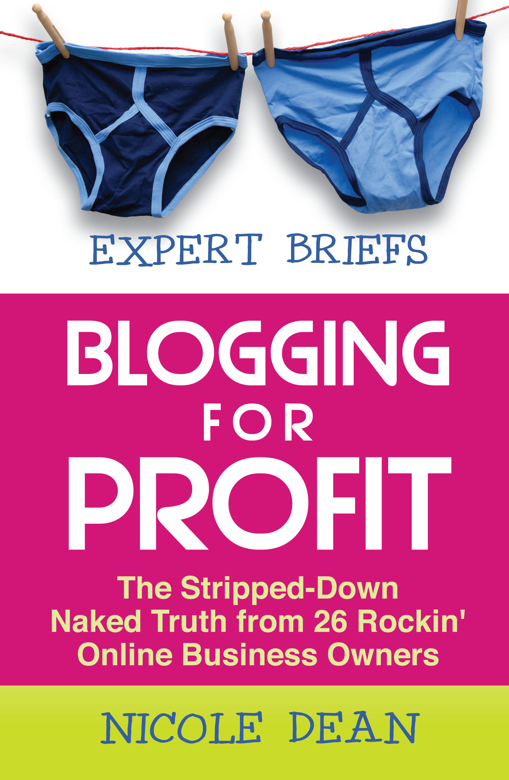 Expert Briefs Blogging for Profit